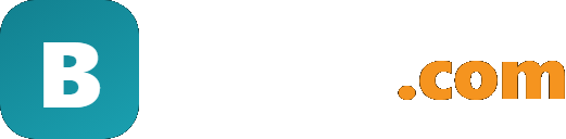 bojleri.com